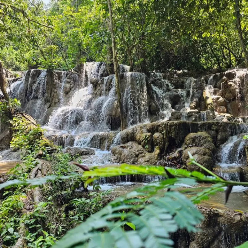 BONAMPAK, CASCADAS DE CORCHO NEGRO Y CAMINATA EN LA SELVA - 2 DÍAS.